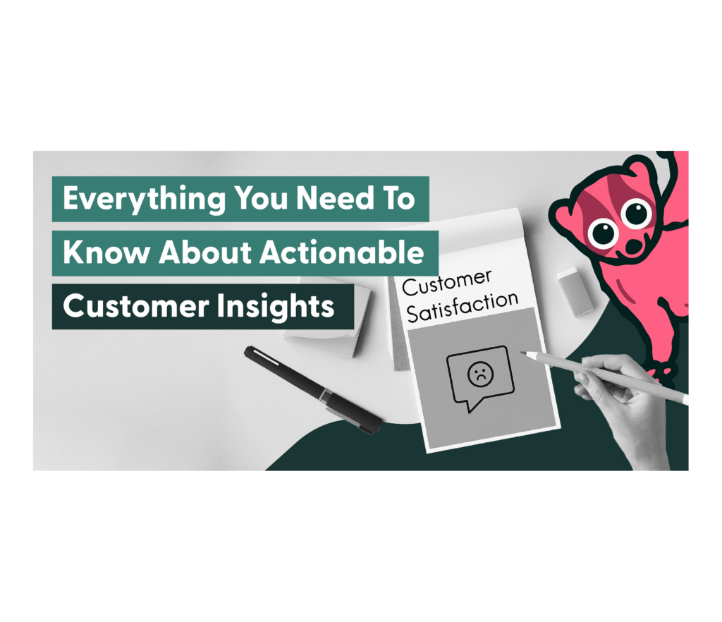 Actionable Customer Insights