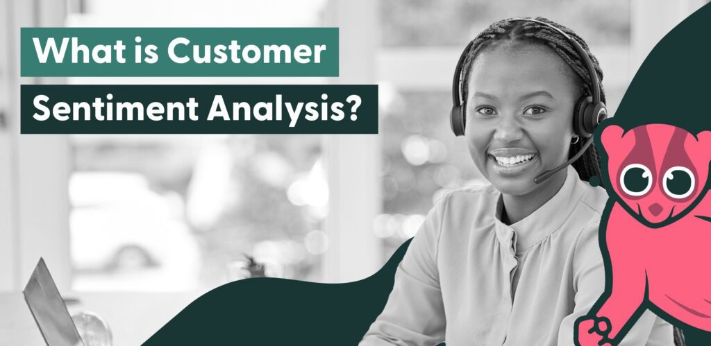 What is customer sentiment analysis