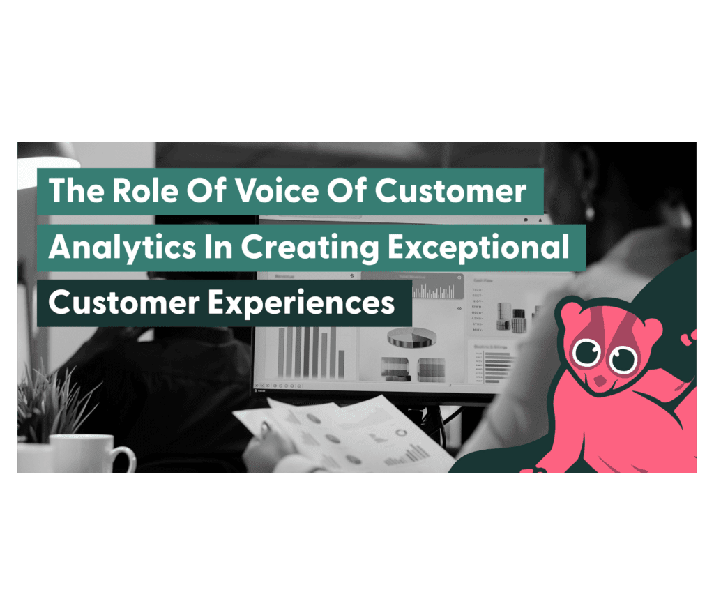 Voice Of Customer Analytics