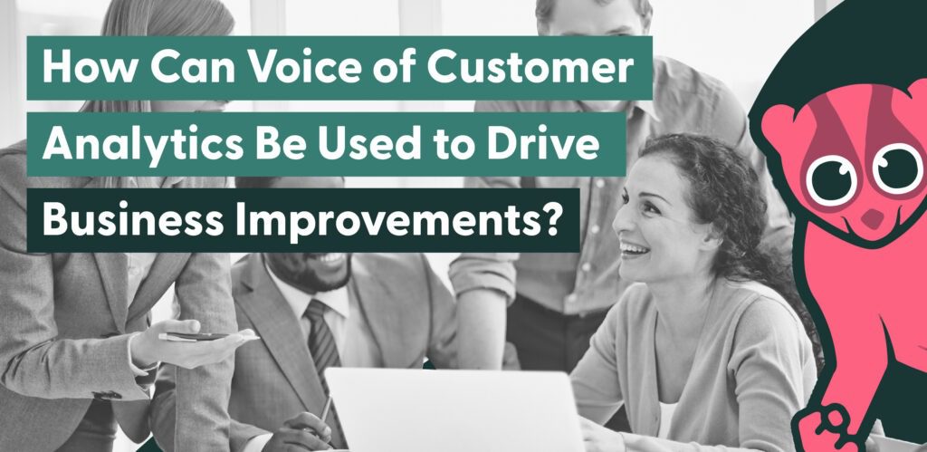 How Can Voice of the Customer Analytics Be Used to Drive Business Improvements?
